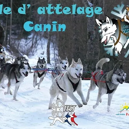Montagne Ski Puymorens Gite *