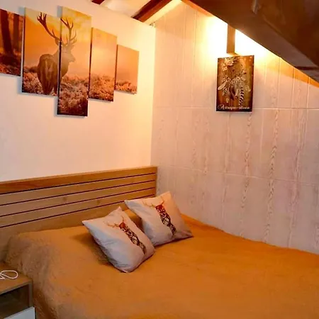 Montagne Ski Puymorens Gite Holiday home *